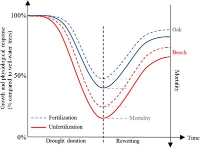 Root Carbon Resources Determine Survival and Growth of Young Trees Under Long Drought in Combination With Fertilization